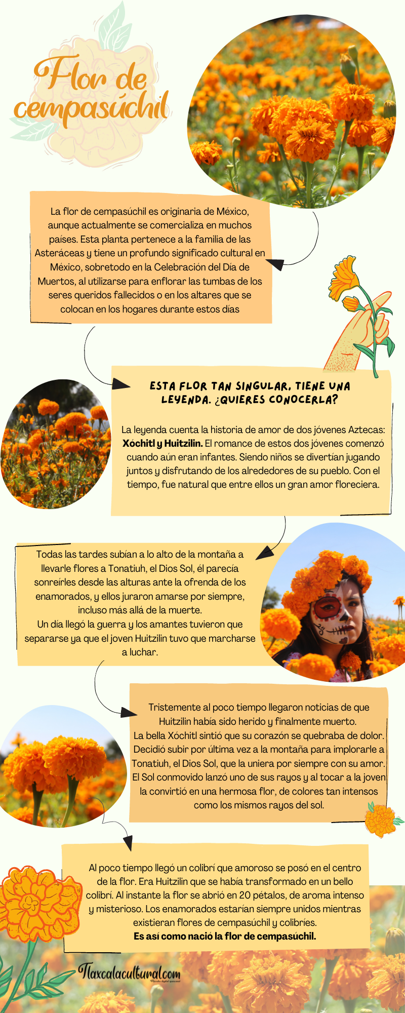 LEYENDA DE LA FLOR DE CEMPASÚCHIL – Tlaxcala Cultural