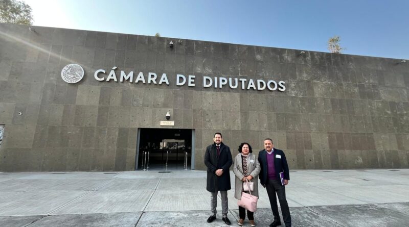 COMISIÓN DE GESTIÓN DE LA DGUTYP ACUDE A LA CÁMARA DE DIPUTADOS